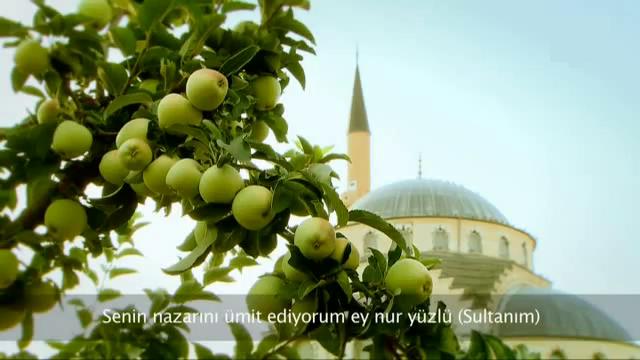 Rab�ta Nedir Hakk�nda A��klay�c� Bir Yaz�