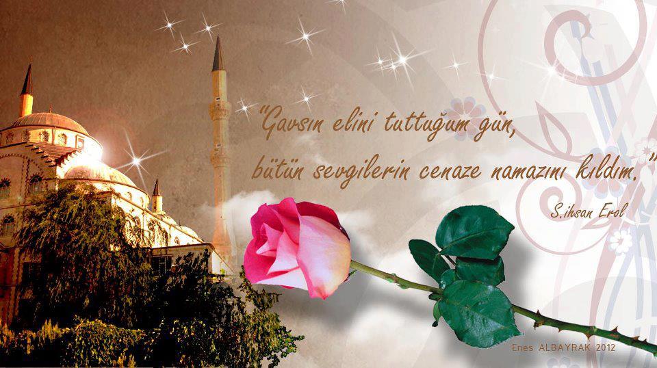 Gavs-� Sani Hz.: 